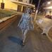 Abigail Cisneros - Facebook