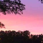 Abigail cobb - @sunsetbeauty46 - Instagram