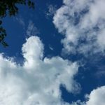 Abigail Crowe - @crowe.abigail - Instagram