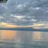 Abigail Curley - @abigail.curley - TikTok