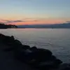 abigailcurley - @abigailcurley - TikTok