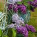 Gail Danforth - Facebook