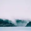 Abigail Davidson - @abigaildavidson723 - TikTok