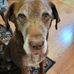 Abigail Dearth - Facebook