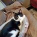 Gail DeJong - Facebook