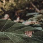 𝐀𝐛𝐢𝐠𝐚𝐢𝐥 𝐃𝐢𝐥𝐥𝐨𝐧 / 𝐂𝐡𝐚𝐫𝐥𝐞𝐬𝐭𝐨𝐧, 𝐒𝐂 - @abihdillon - Instagram