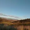 Abigail Eldridge - @abigail.eldridge2 - TikTok