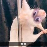 Abigail Elmore - @slay_gurl_slay_all_day - Instagram