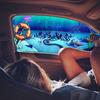 _abigail.fuller_ - @_abigail.fuller_ - TikTok