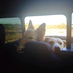 Abigail Garner - Facebook