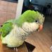 Abigail Garrison - Facebook