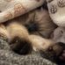 Abigail Keats - Facebook