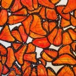 Abigail Greenbaum - @artbyabs - Instagram