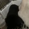 Abigail Hanvy - @abigail.hanvy - TikTok