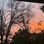 Abigail Haney - @abigailhaney72 - Instagram