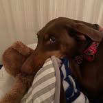 Abby - @abigailhendrix1000 - Instagram