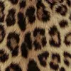 Abigail - @abigail.joseph2 - TikTok