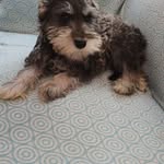 Abigail Utrilla - @abigail_k_rollo - Instagram