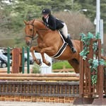 @abigail_lafferty_eq - Instagram