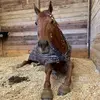 abigail.lafferty - @abigail.lafferty - TikTok