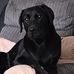 Abigail Lambert - Facebook