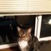 Gail Lashbrook - Facebook