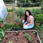 Abigail Lilly Plant Tips - @southlillyfarm - Instagram