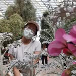 Abigail Lim - @abigail.lim.613 - Instagram