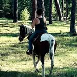 Abigail Lowry - @storm_rider2004 - Instagram