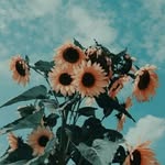 Abigail Lyon - @takechances_71 - Instagram