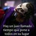 Abigail Maciel - Facebook