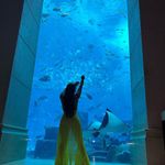 Abigail MacLeod - @abigailmacleod58 - Instagram