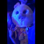 @abigailmaher88 - Instagram