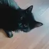Abi wabby is a ratty 🐀🥱 - @abigail._.main - TikTok
