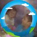 Abigail marchena - Facebook