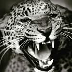 Эбигейл__Abigail - @abigail_margo - Instagram