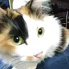Abigail.Marsh - @pdurgtwtmj4 - TikTok