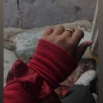 Abigail Marte - @abigail_marte_ - Instagram
