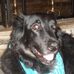 Abby McComas - Facebook