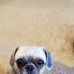 Abigail McComas - Facebook