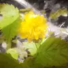 abigail millar - @a.m_665 - TikTok