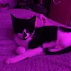 abi ᶻ 𝗓 𐰁! - @abigailmonks5 - TikTok