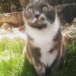 abigail - @abigailmonkeys05 - Instagram