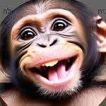 abigail_monkey - @abigail_monkey24 - Instagram
