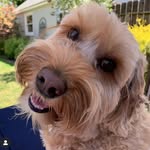 Abigail von Monkfish - @abigailvonmonkfish - Instagram