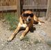 Abigail Moorman - Facebook