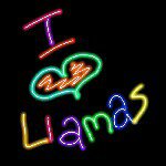 Abigail Morse - @llamasforlife_love12 - Instagram