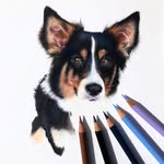 Abigail Munns | Pet portraiture artist - @abigailmunns_artwork - Instagram