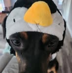 Abigail Norton - Facebook