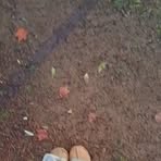 Abigail Norton - Facebook